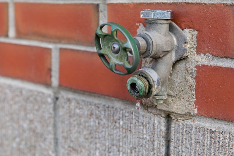Leaky Faucet Repair in Denver, CO